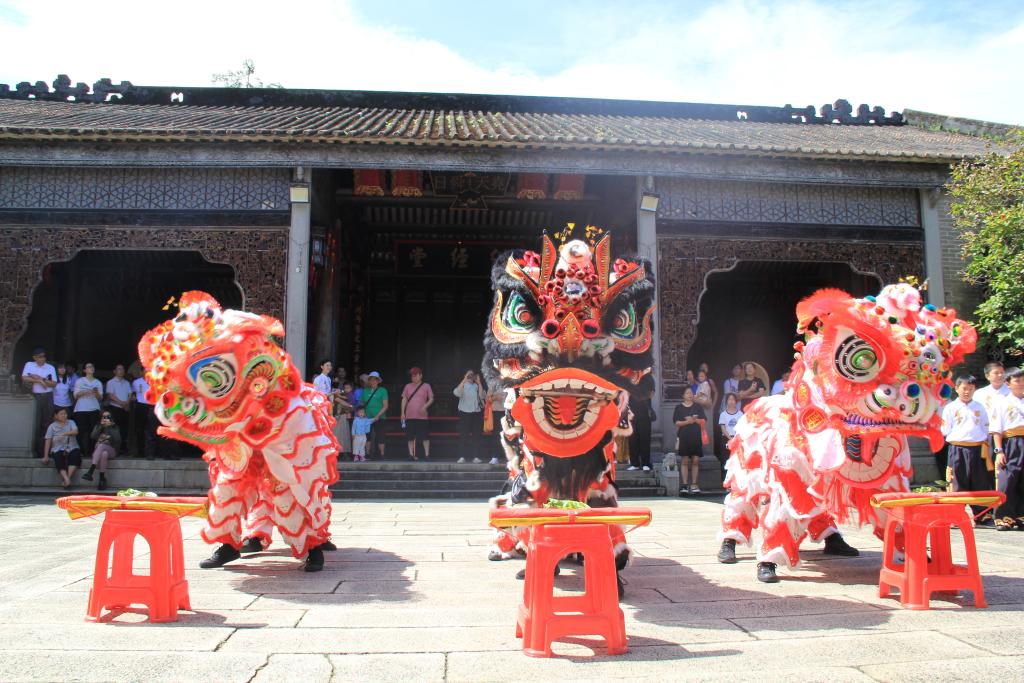 amp, 在龙狮团的