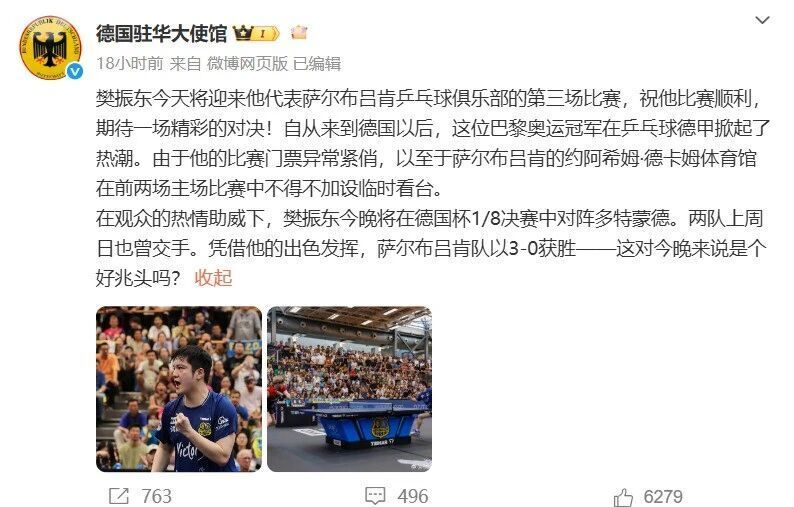 尔松获得更, 蒜鸟, 樊振东代表